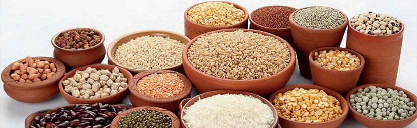 Gıda Ürünleri İthalatı